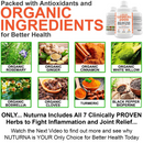 Liquid Turmeric 2000 7 Herb BioActive Mobility Blend for Healthy Joints