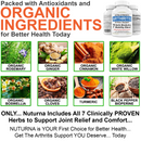 Arthritis 24 Hour Pain Relief Support for Joint, Tenderness & Stiffness Relief