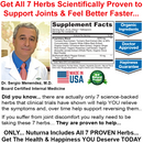 Liquid Arthritis 24 Hour Support Supplement for Joint Relief